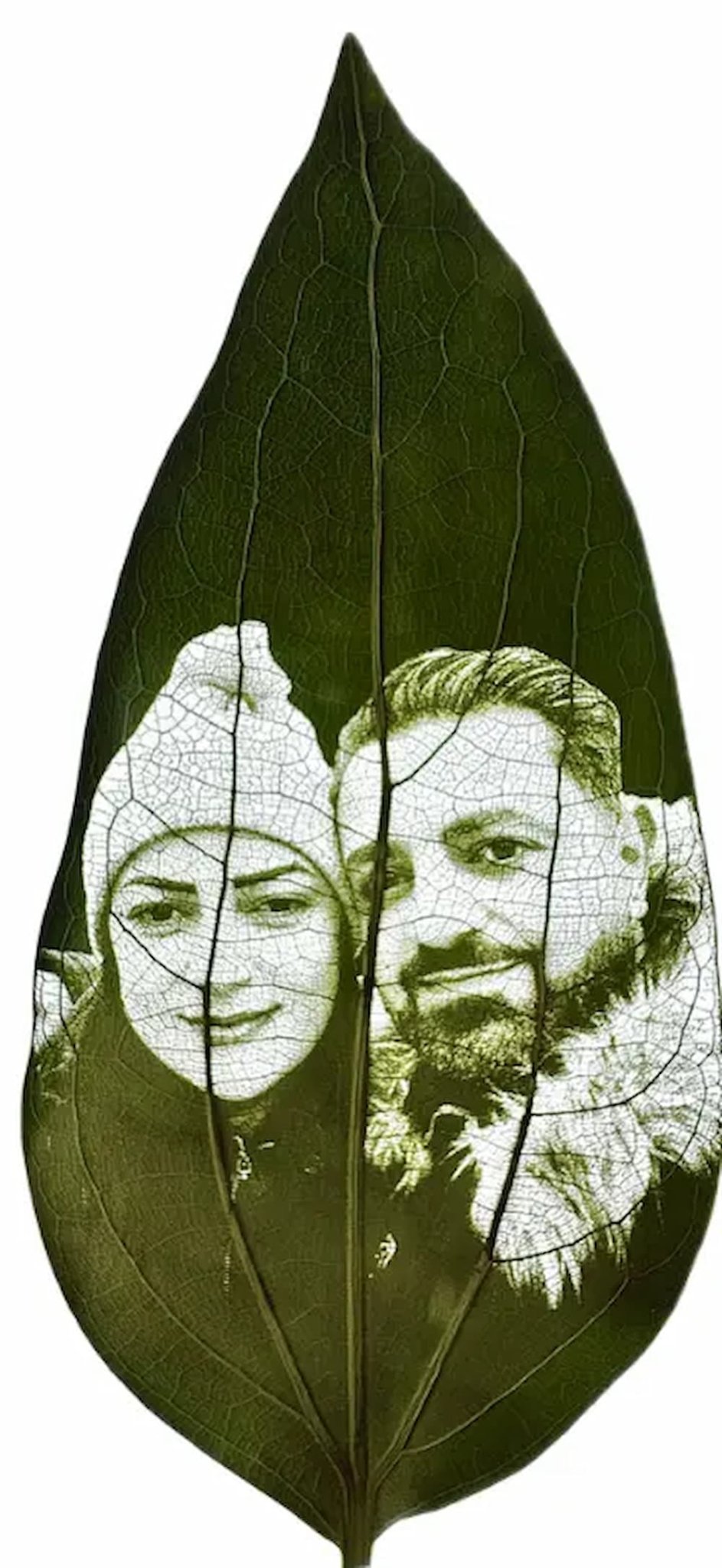 Ewiges Erinnerungsblatt - Timeless Leaves